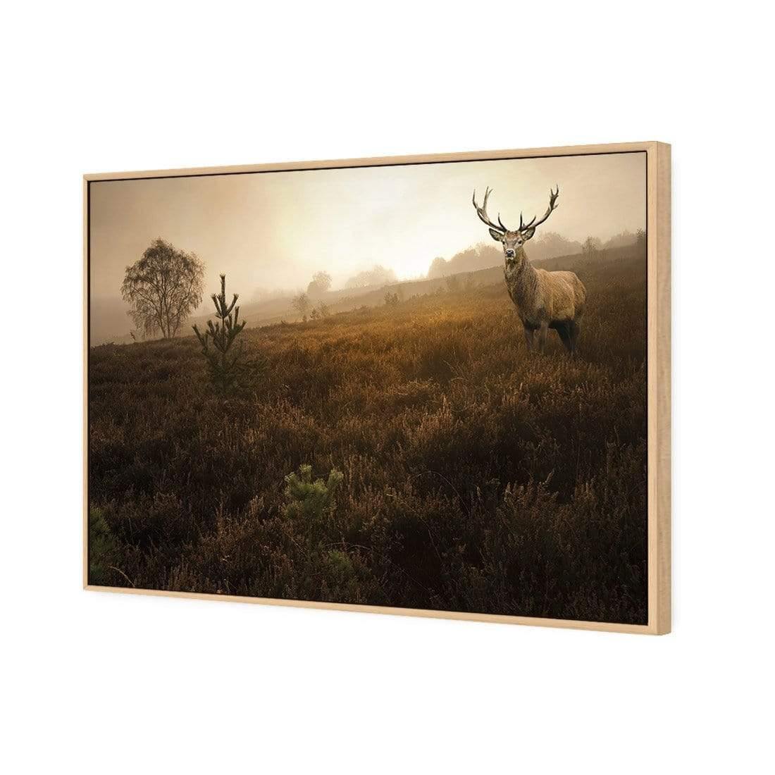 Morning Stag | Classic Canvas | Floating Frame | Oak