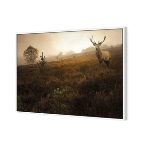 Morning Stag | Classic Canvas | Floating Frame | White
