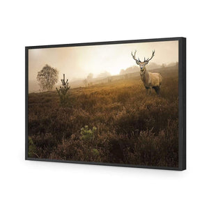 Morning Stag | Classic Acrylic | Flat Frame No Border | Black