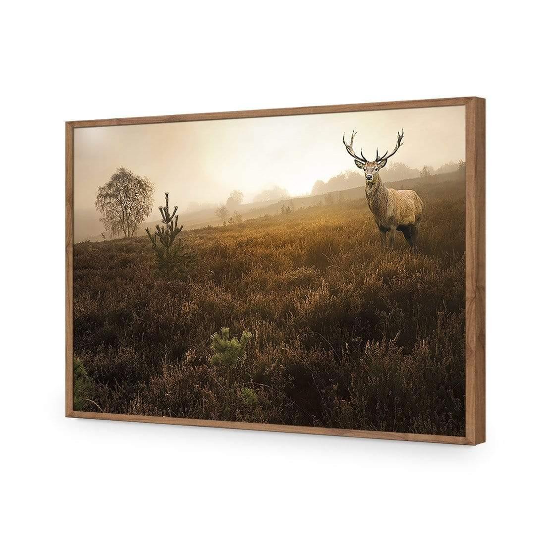 Morning Stag | Classic Acrylic | Flat Frame No Border | Natural