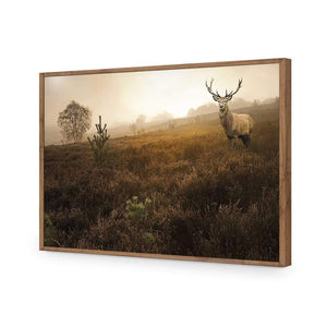 Morning Stag | Classic Acrylic | Flat Frame No Border | Natural
