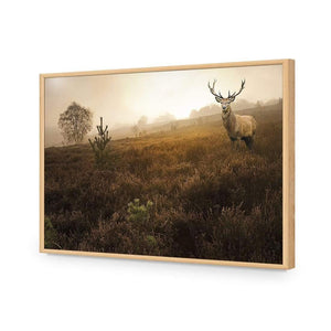 Morning Stag | Classic Acrylic | Flat Frame No Border | Oak