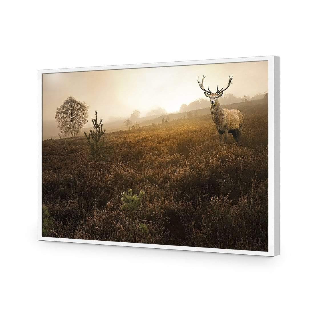 Morning Stag | Classic Acrylic | Flat Frame No Border | White