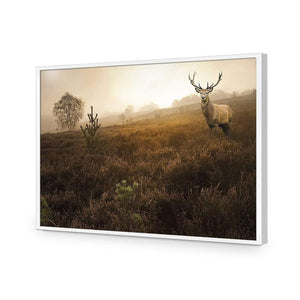 Morning Stag | Classic Acrylic | Flat Frame No Border | White