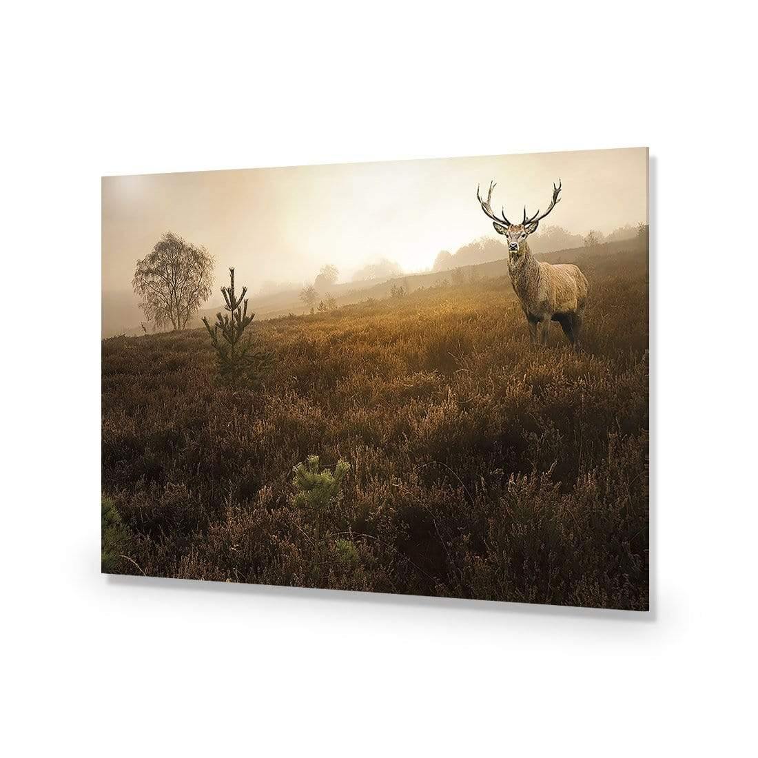 Morning Stag | Classic Acrylic | No Frame No Border