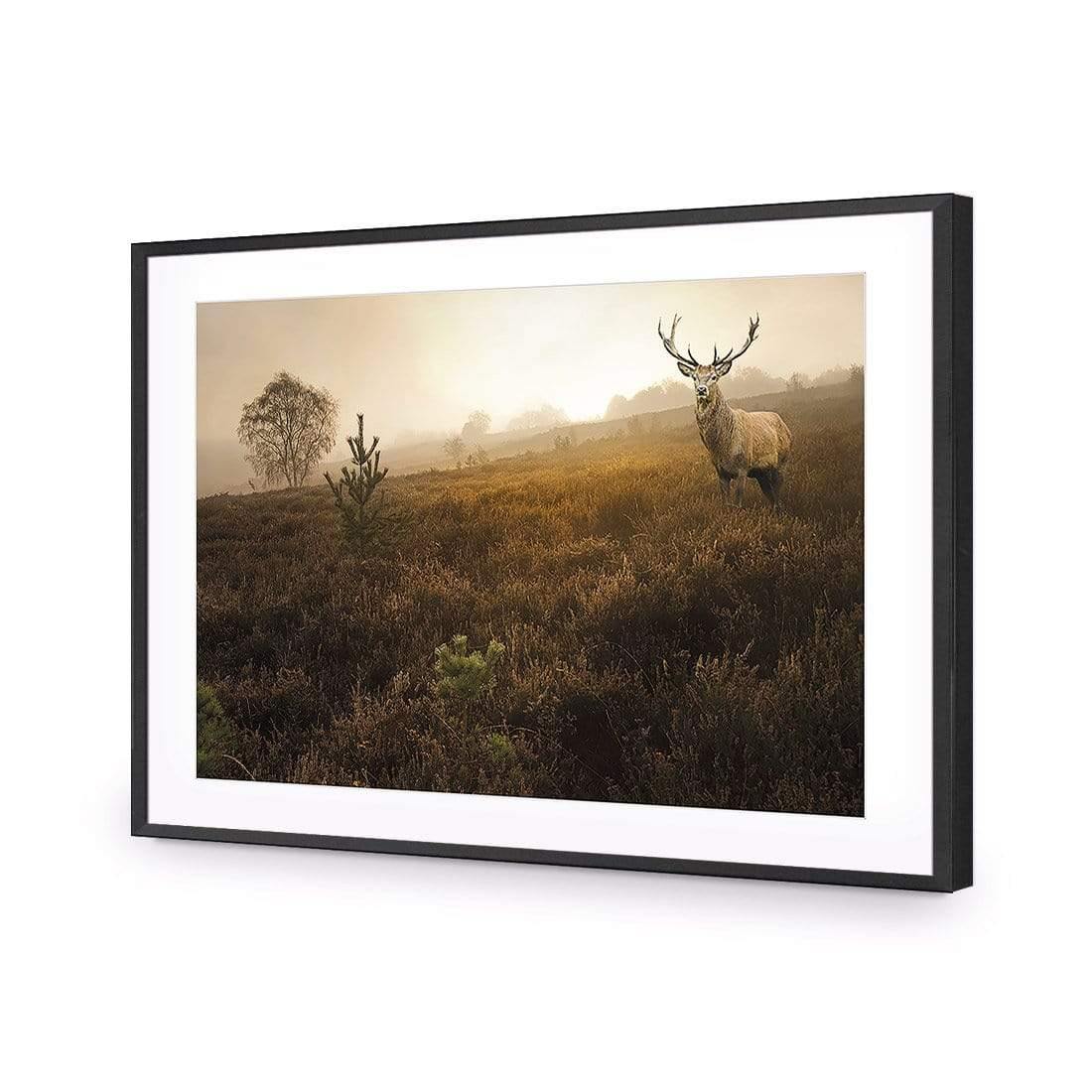Morning Stag | Classic Acrylic | Flat Frame With Border | Black