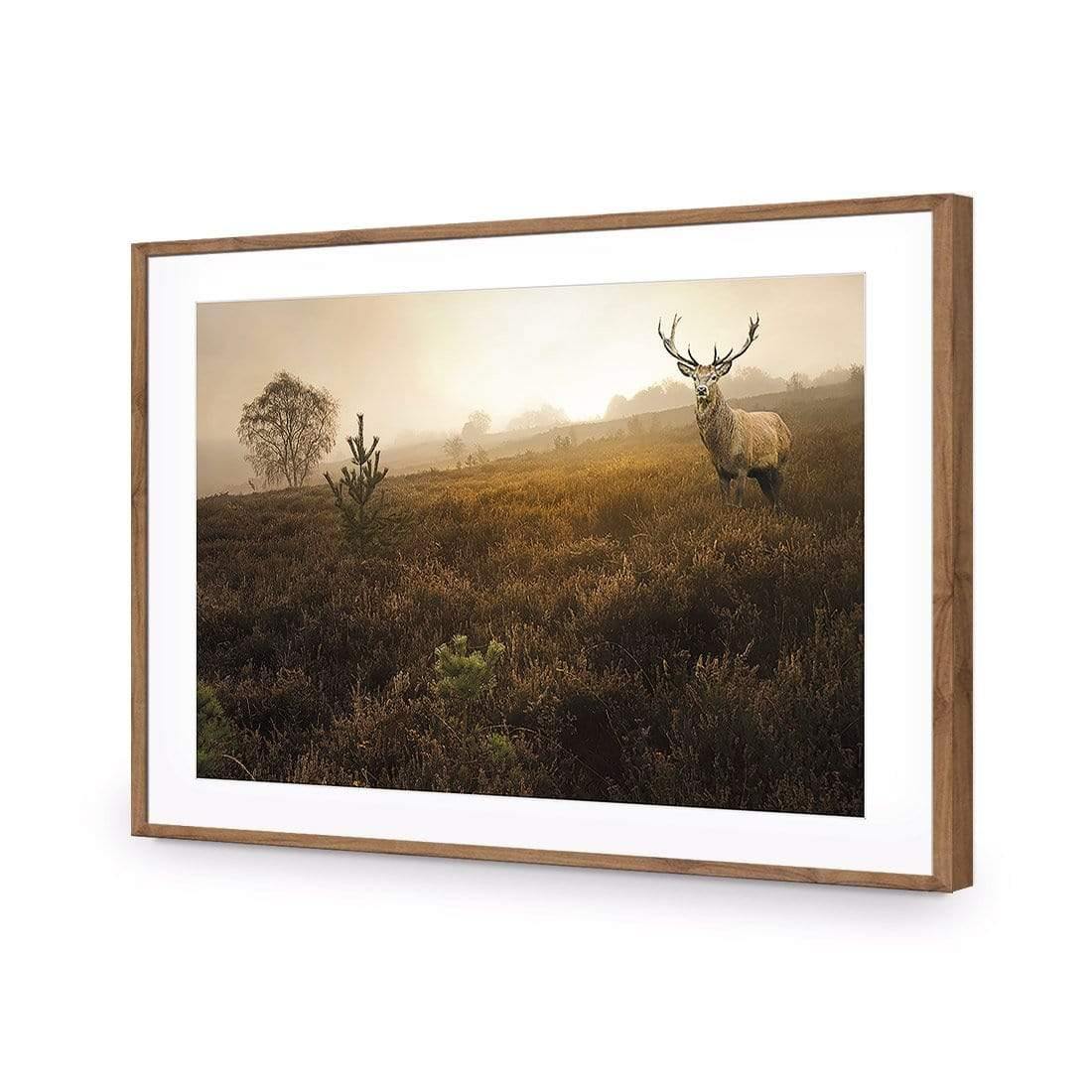Morning Stag | Classic Acrylic | Flat Frame With Border | Natural