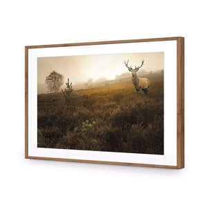 Morning Stag | Classic Acrylic | Flat Frame With Border | Natural
