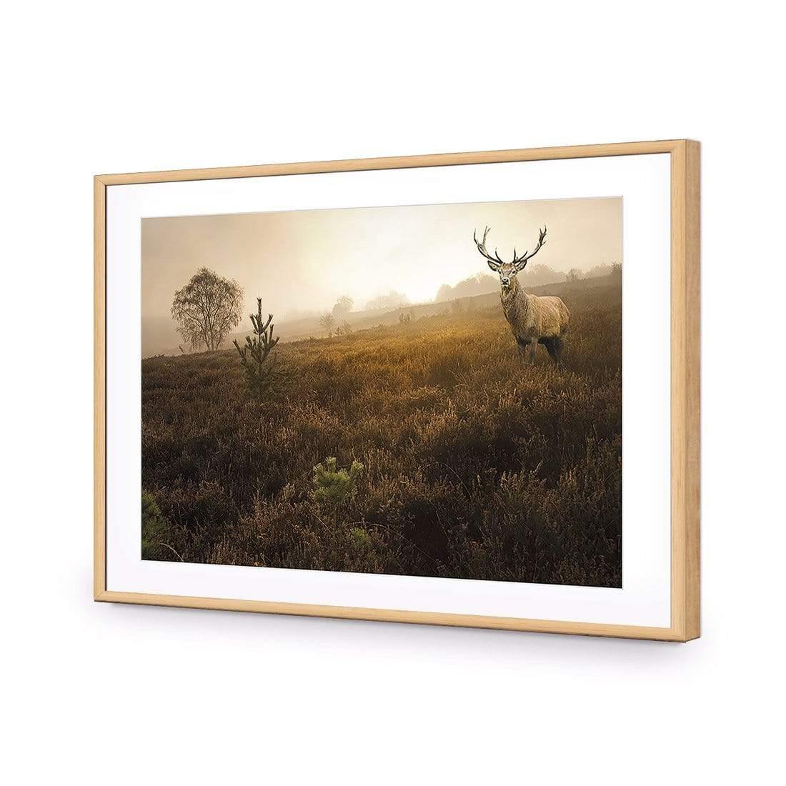 Morning Stag | Classic Acrylic | Flat Frame With Border | Oak