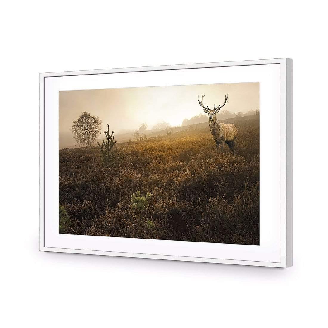 Morning Stag | Classic Acrylic | Flat Frame With Border | White