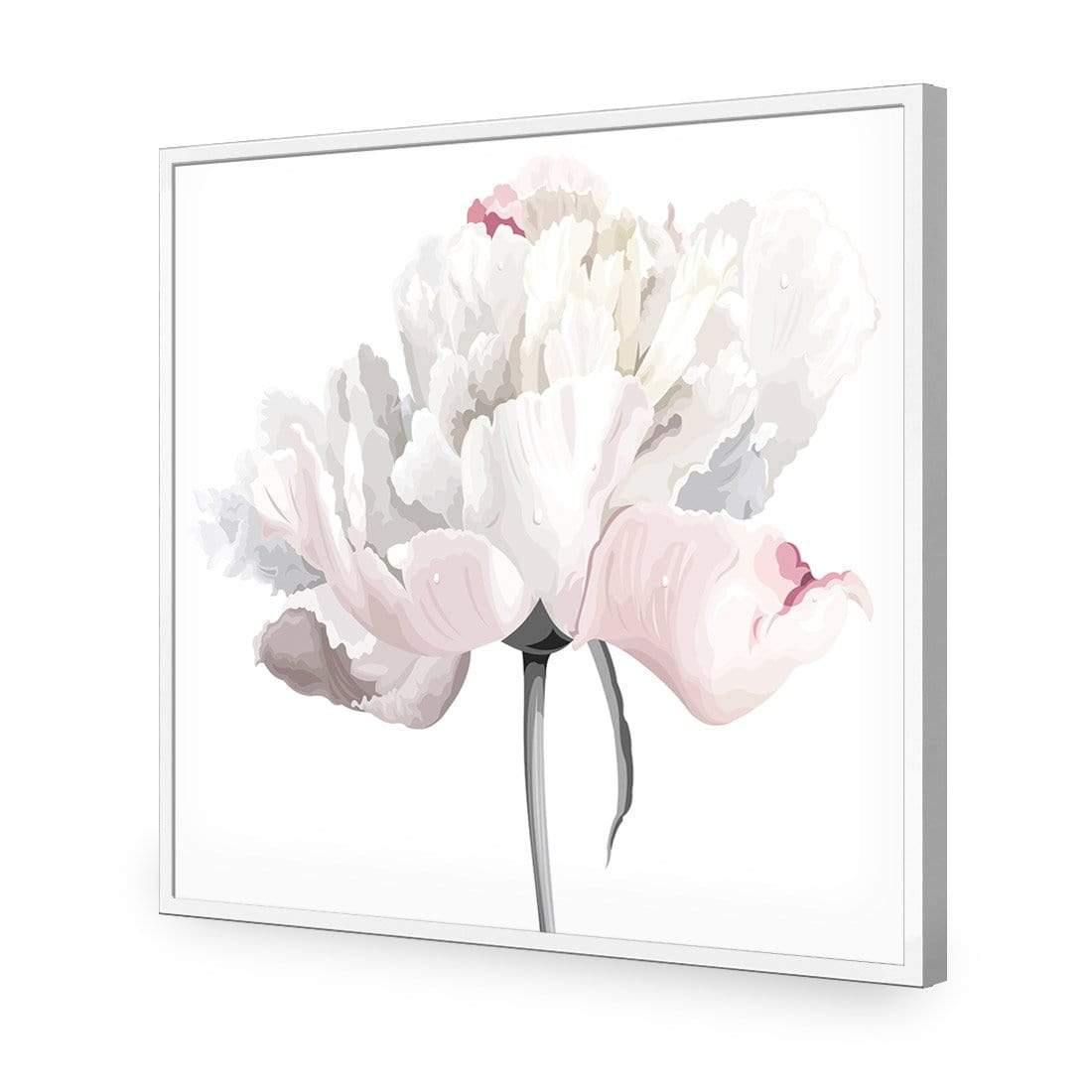 Delicate Bloom on White (Square)