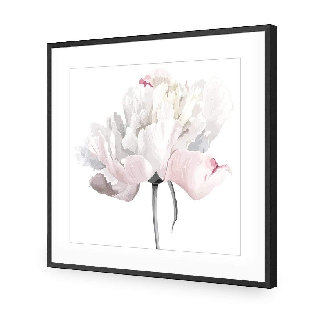 Delicate Bloom on White (Square)