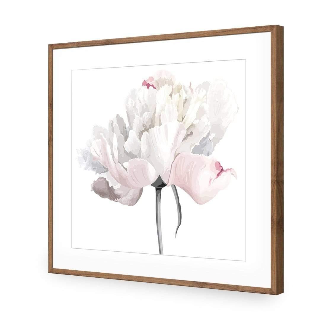 Delicate Bloom on White (Square)