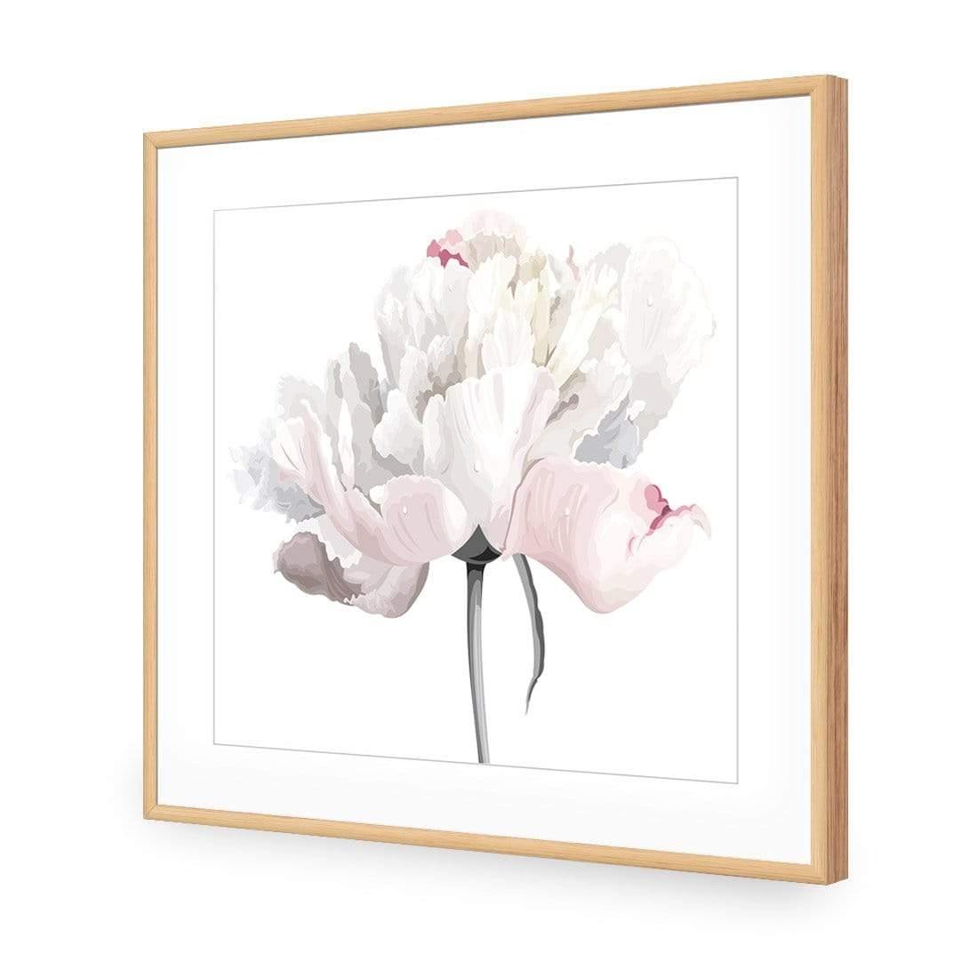 Delicate Bloom on White (Square)