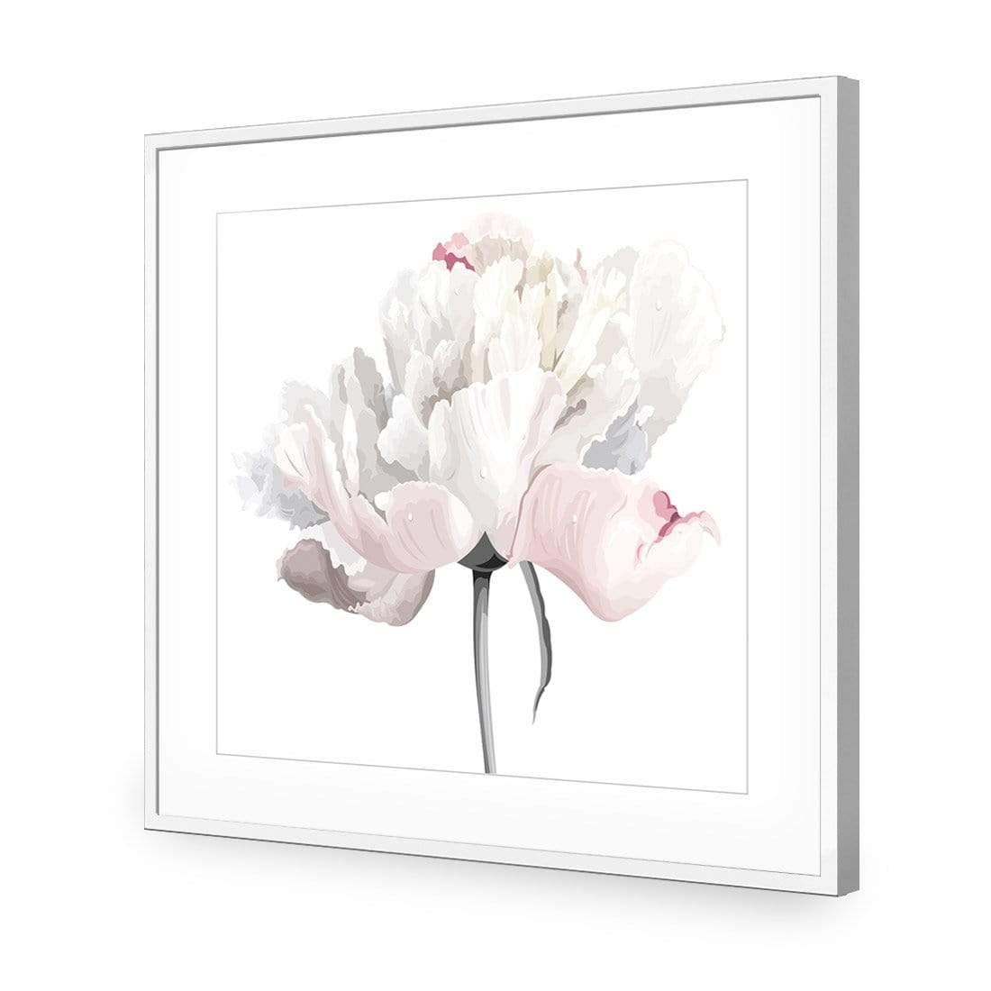 Delicate Bloom on White (Square)