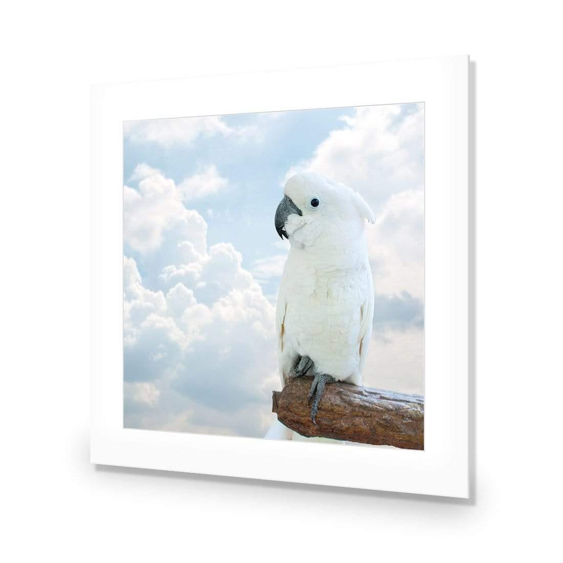 Winston the White Cockatoo