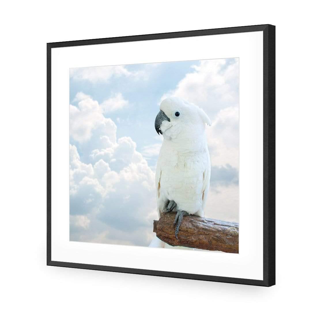 Winston the White Cockatoo