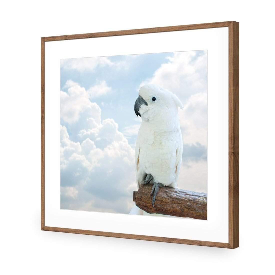 Winston the White Cockatoo