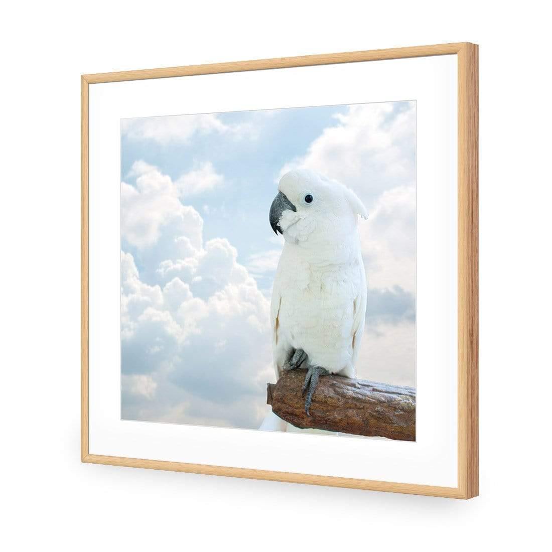 Winston the White Cockatoo