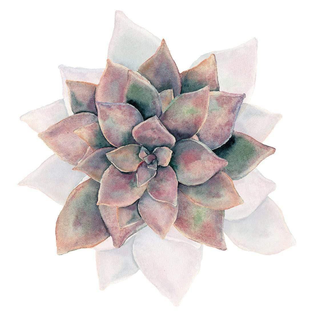 Succulent Rosette Perfect Pair