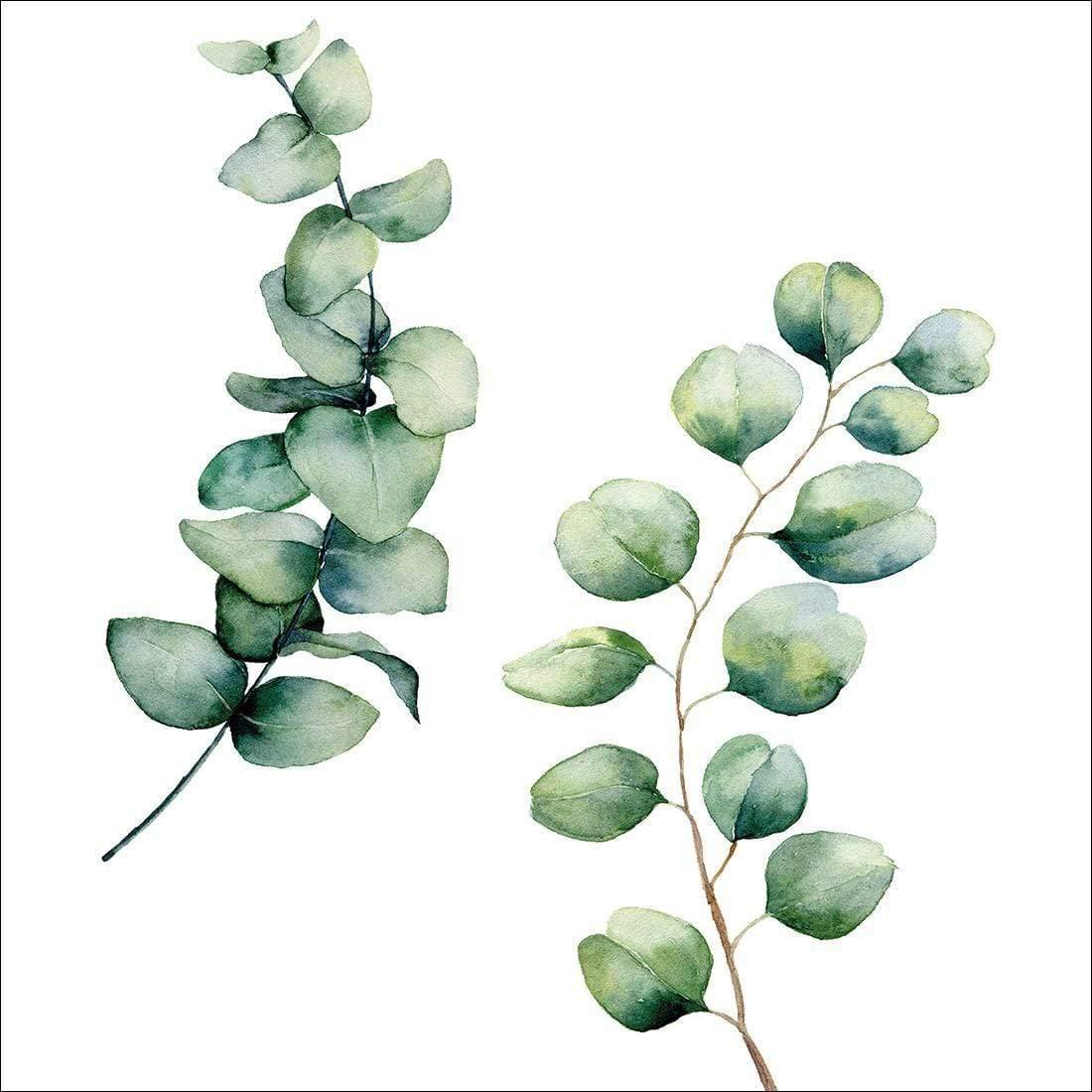 Eucalyptus Duo (Square)