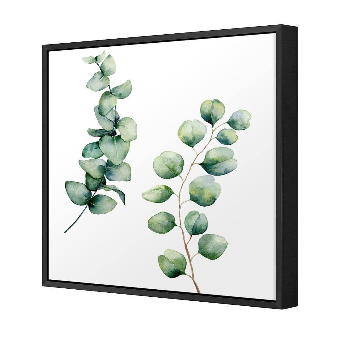 Eucalyptus Duo (Square)