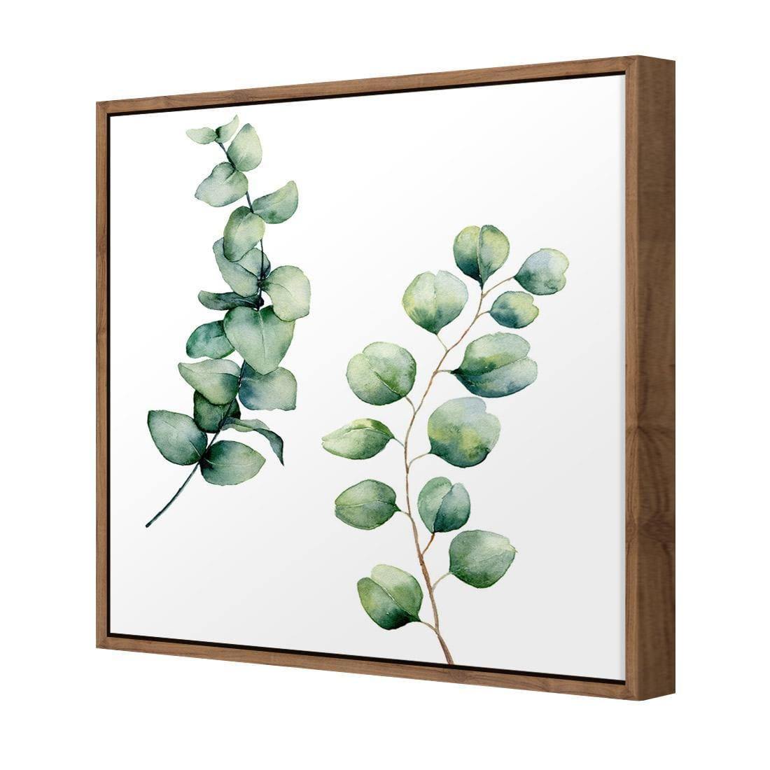 Eucalyptus Duo (Square)