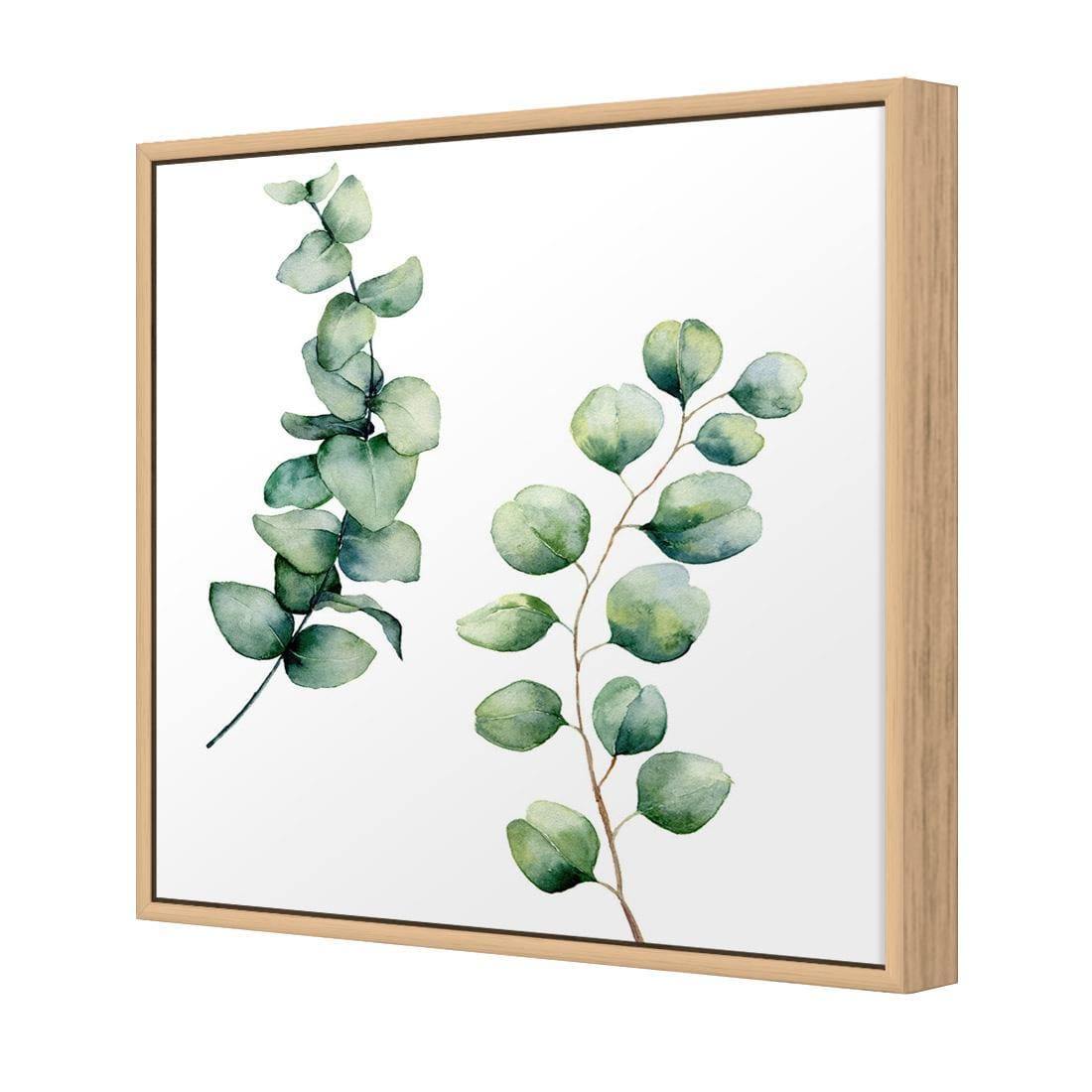 Eucalyptus Duo (Square)