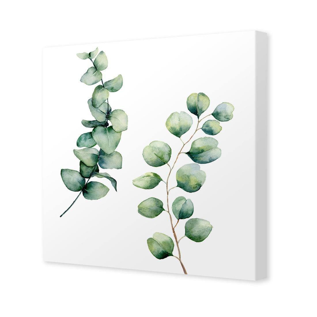 Eucalyptus Duo (Square)