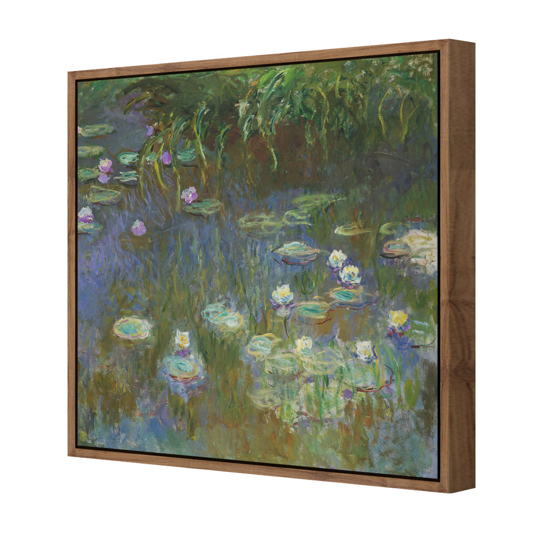 White and Purple Water Lilies By Monet