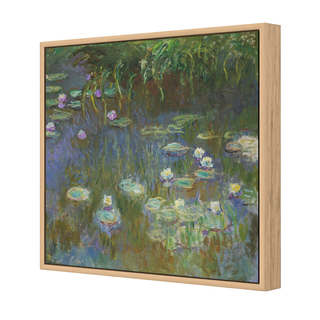 White and Purple Water Lilies By Monet