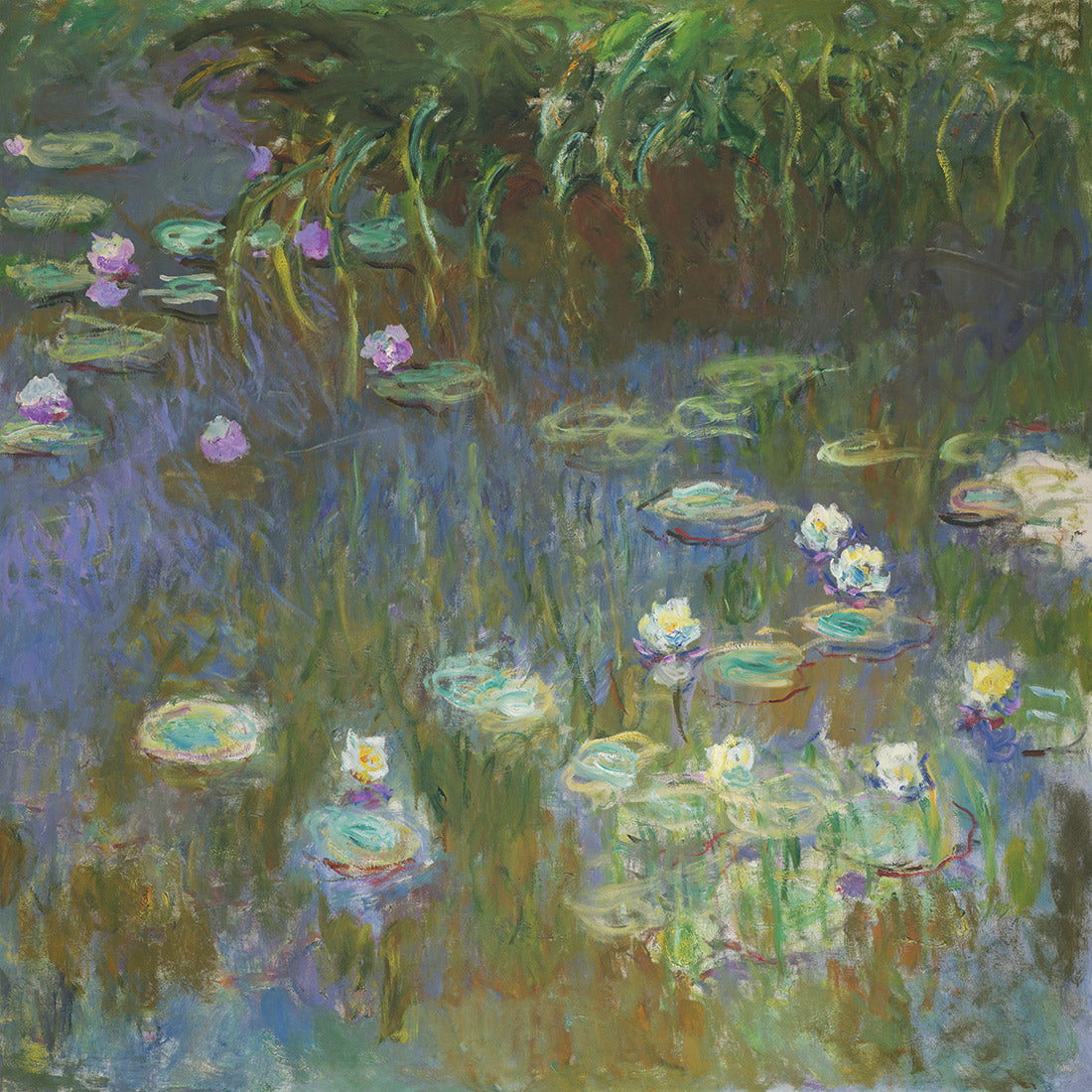 White and Purple Water Lilies By Monet