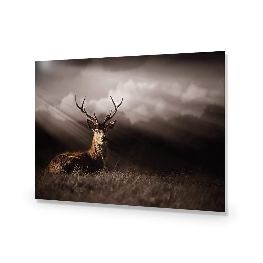 Stag in Darkness