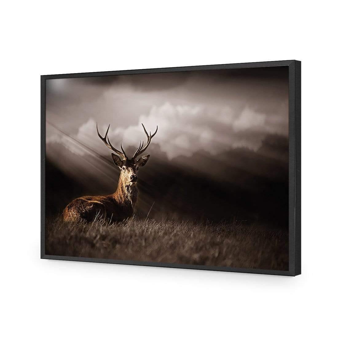 Stag in Darkness