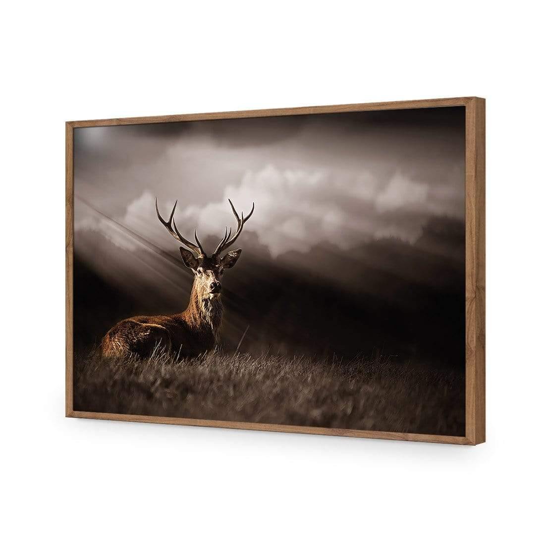 Stag in Darkness