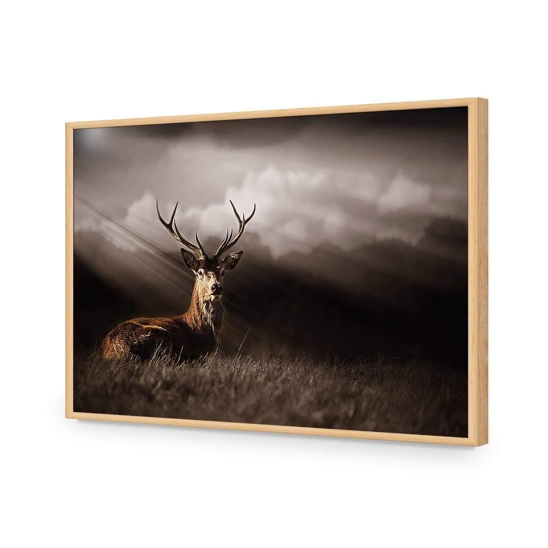Stag in Darkness