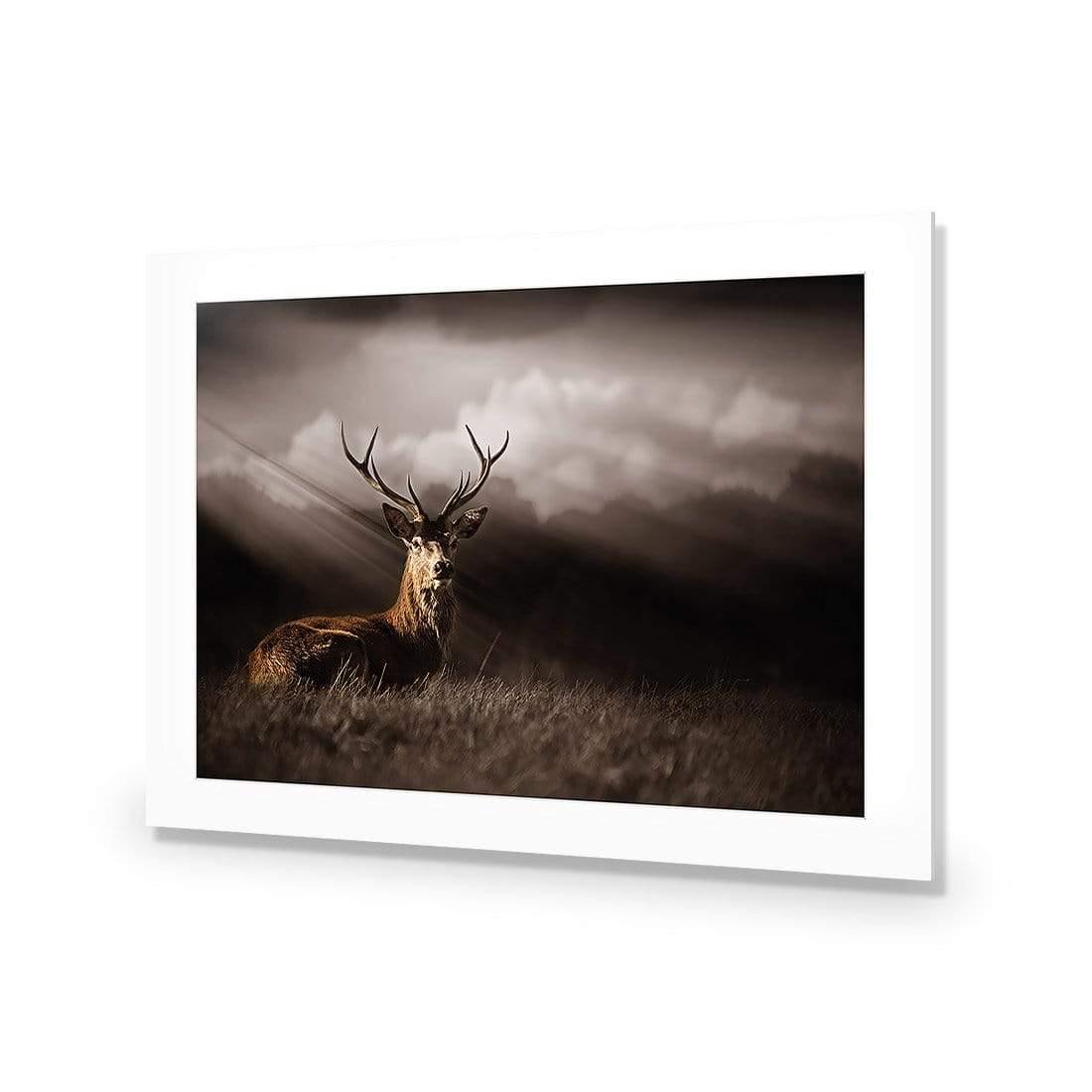 Stag in Darkness