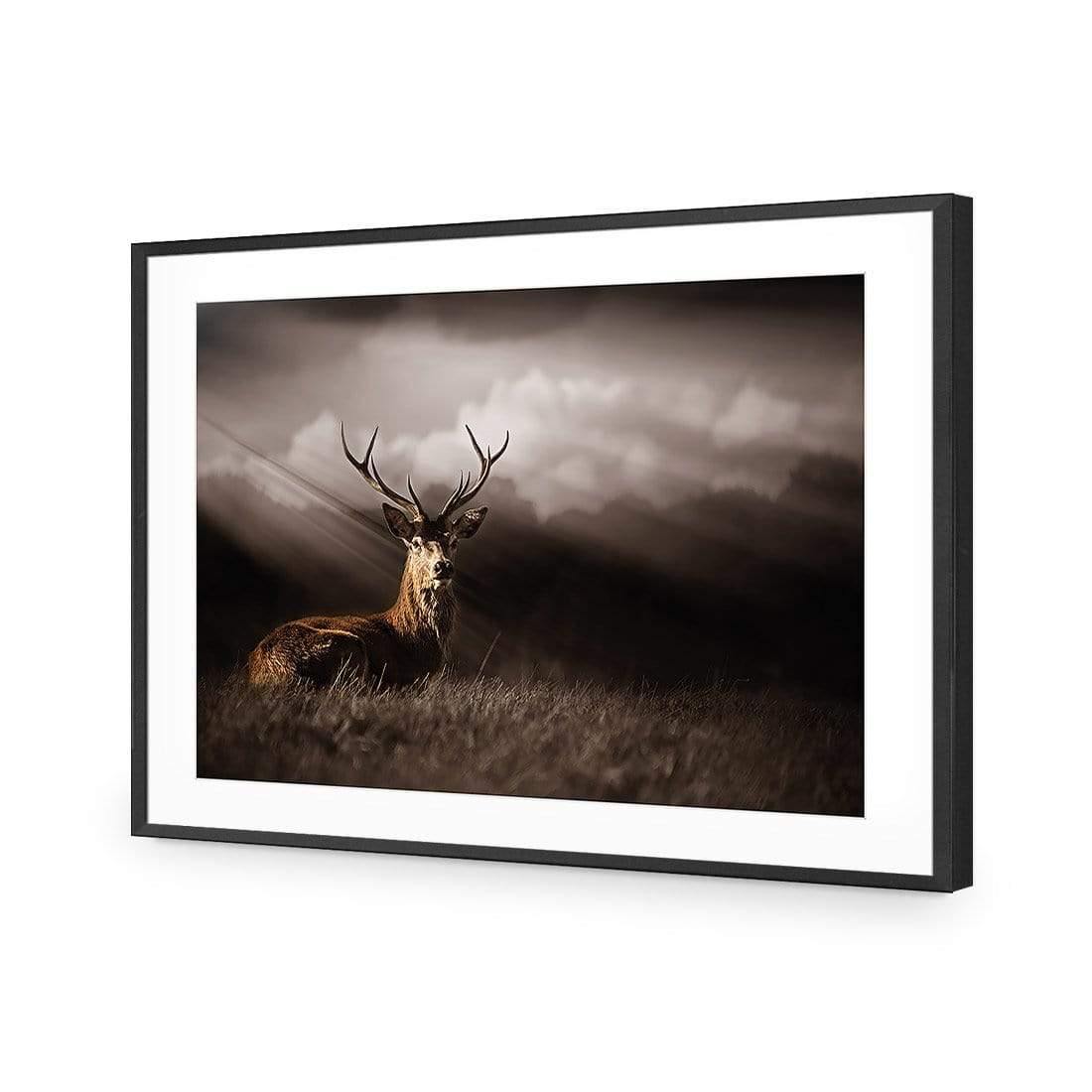 Stag in Darkness