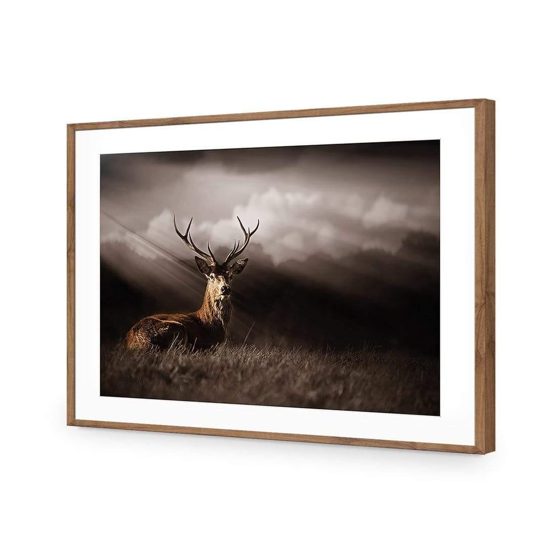 Stag in Darkness