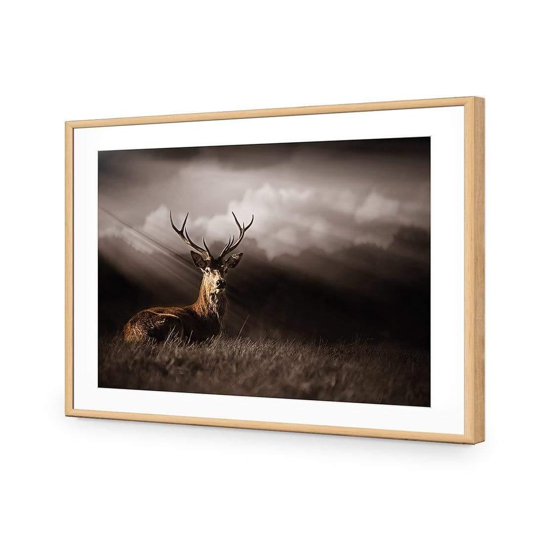 Stag in Darkness