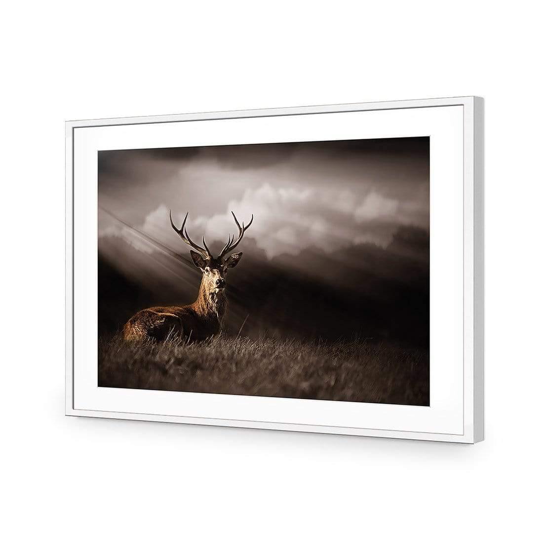 Stag in Darkness