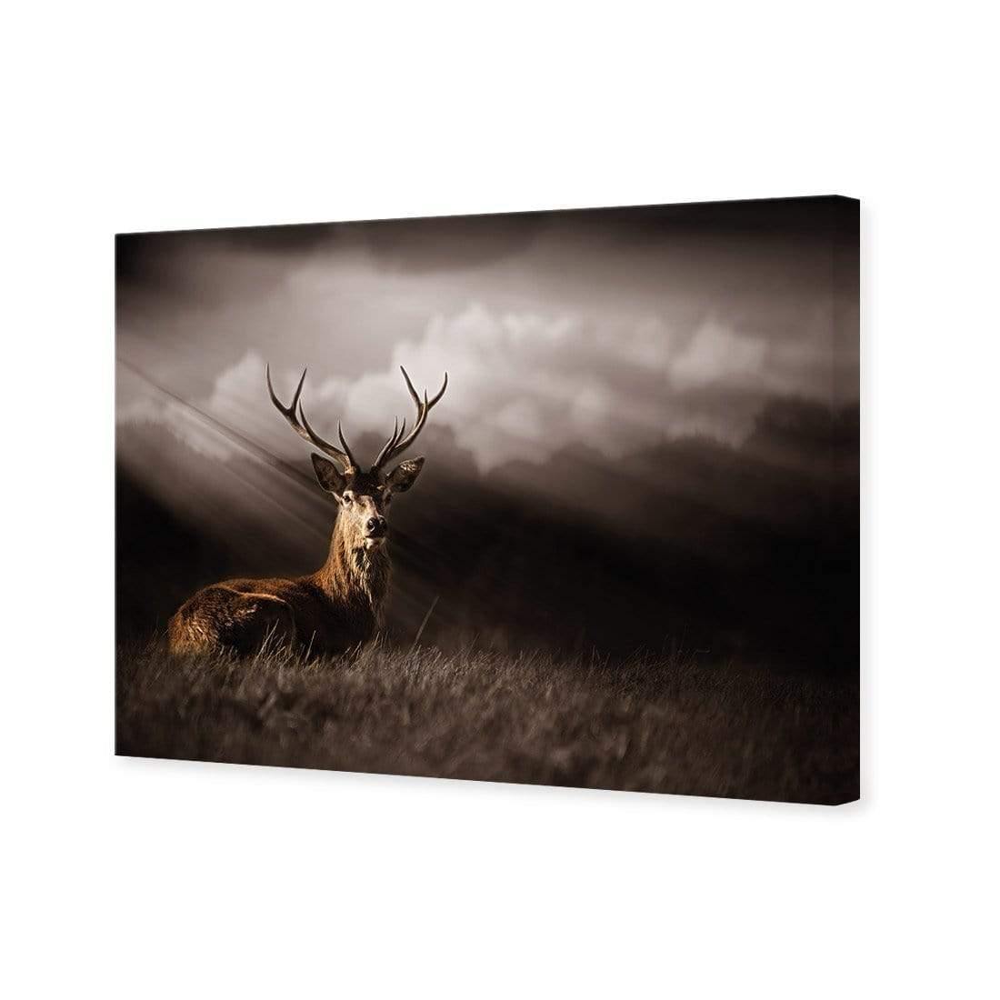 Stag in Darkness