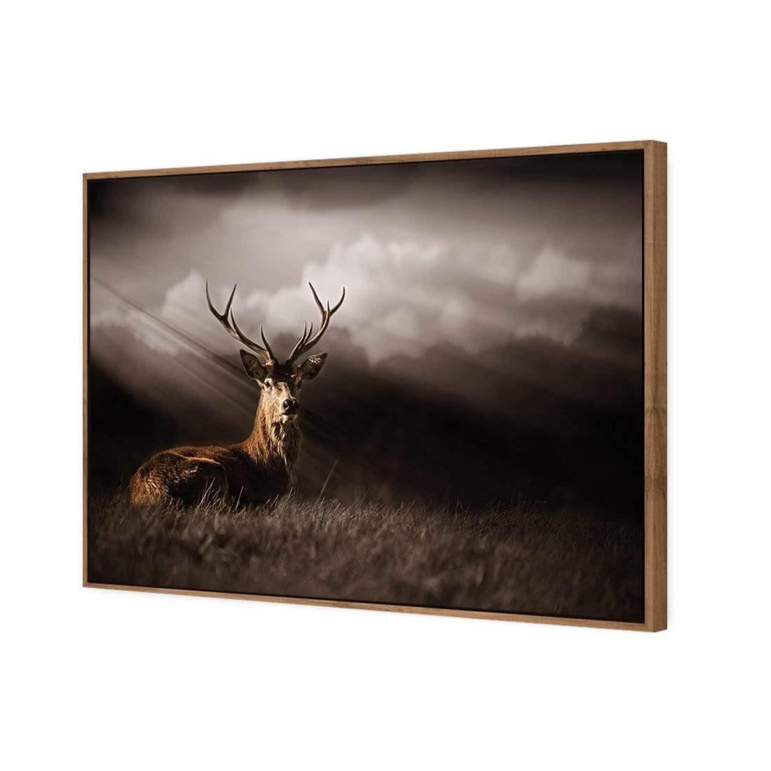 Stag in Darkness