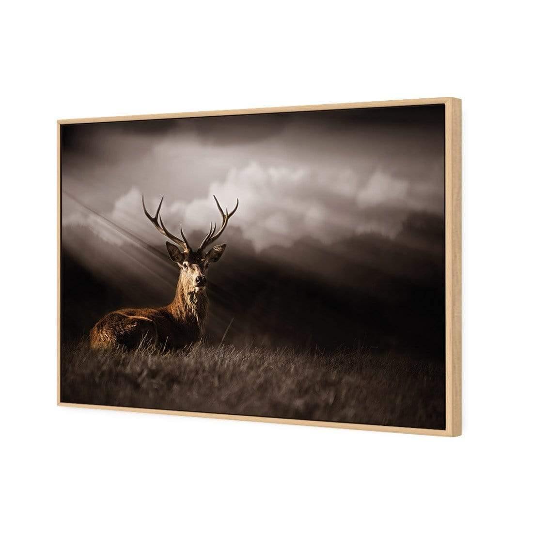 Stag in Darkness