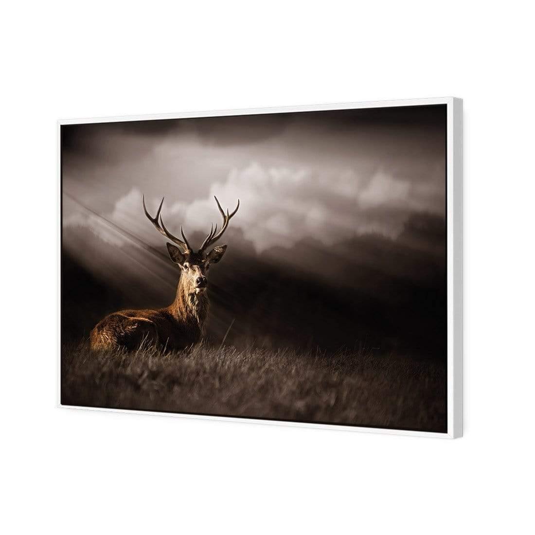 Stag in Darkness