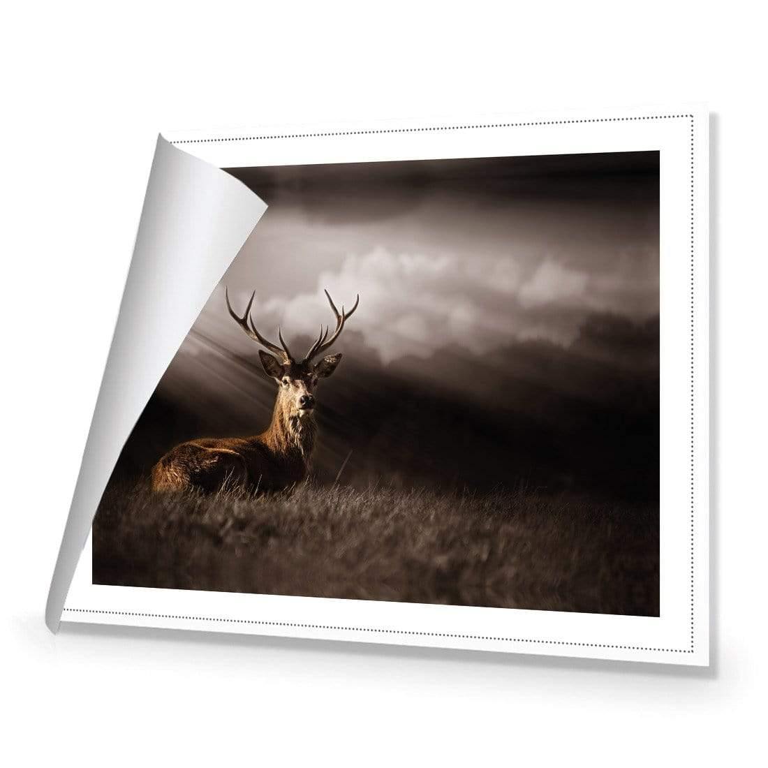 Stag in Darkness
