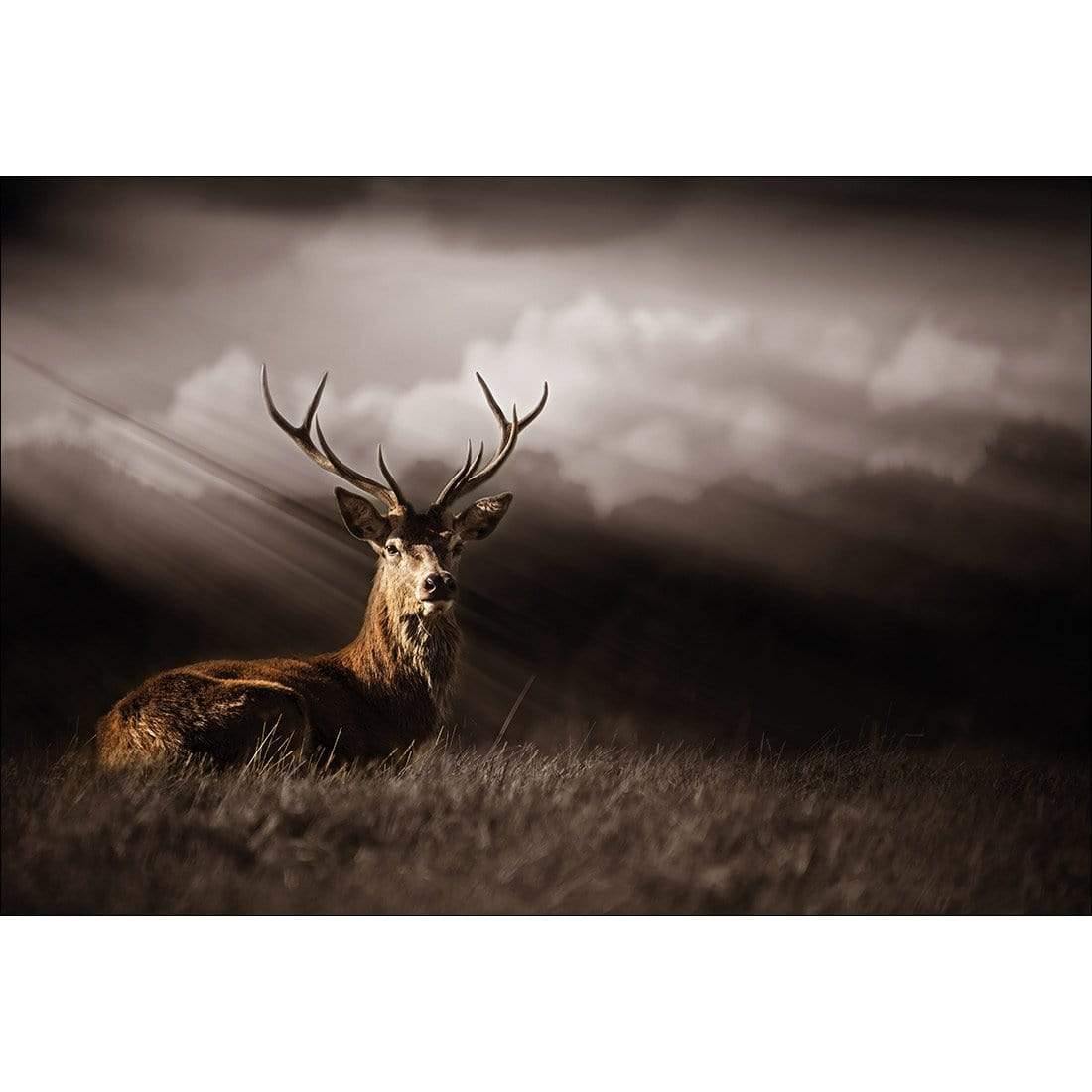 Stag in Darkness