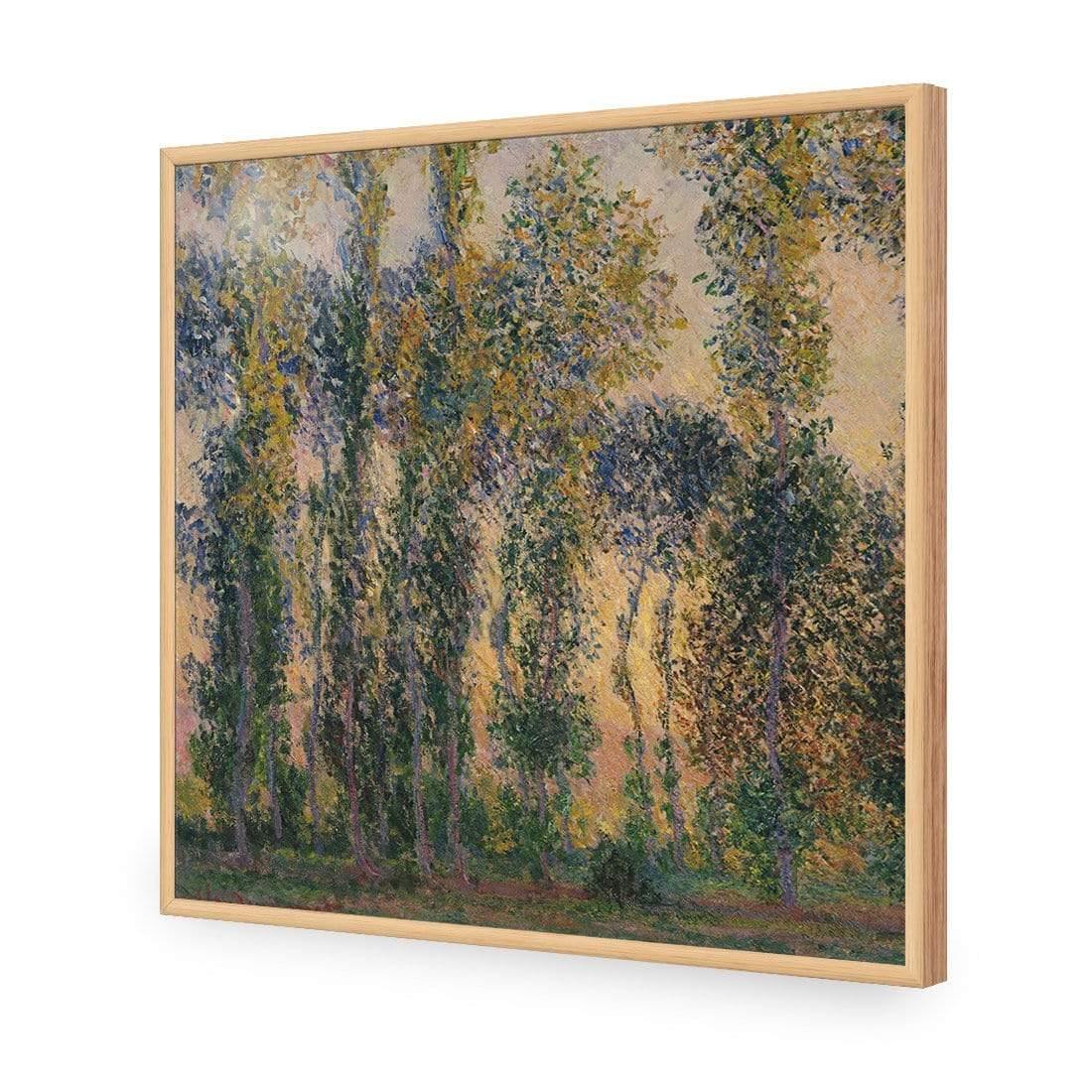 Poplars At Giverny Sunrise by Monet