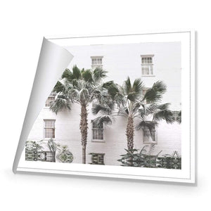 Palm Hotel | Classic Canvas | No Frame | Rolled Canvas