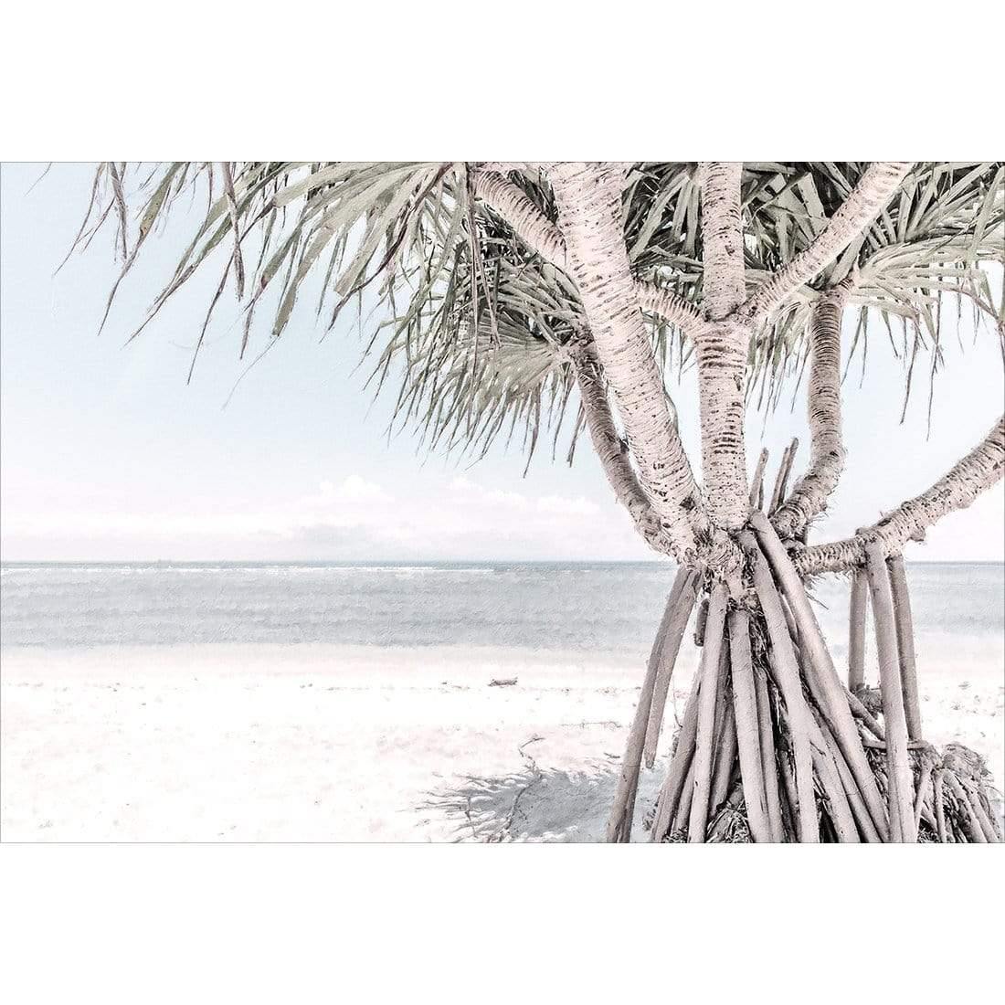 Pandanus at the Beach